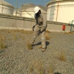 WhatsAppImage2024-12-07at14.01.58