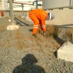 WhatsAppImage2024-12-07at14.01.584