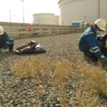 WhatsAppImage2024-12-07at14.02.043