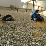 WhatsAppImage2024-12-07at14.02.052