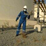 WhatsAppImage2024-12-07at14.02.14